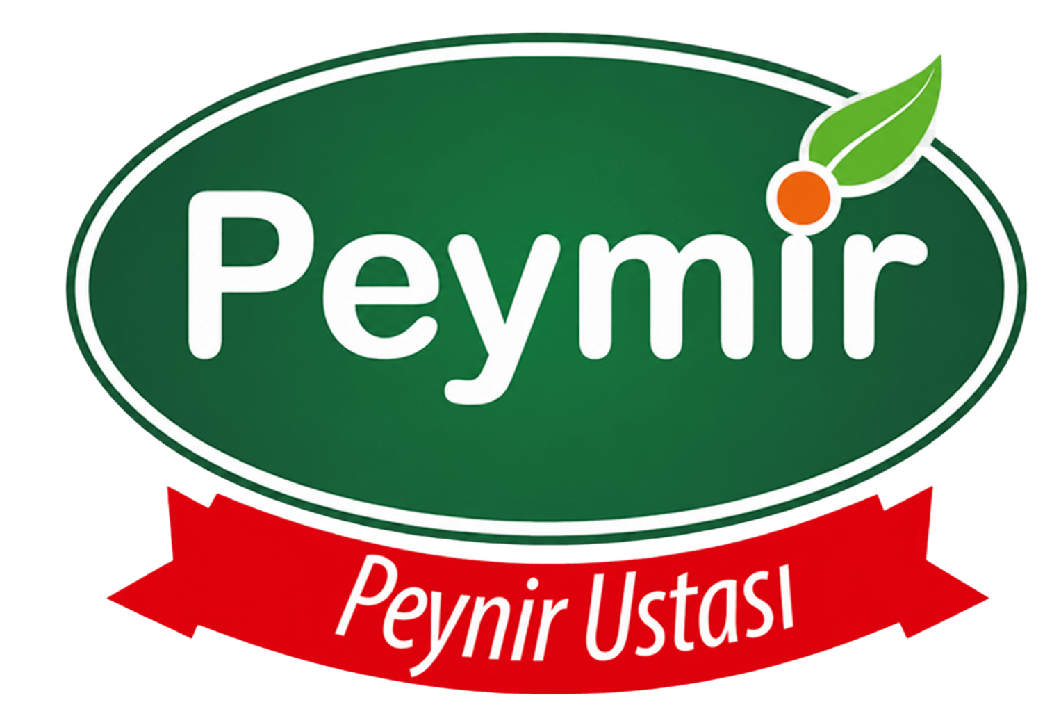 Peymir logo